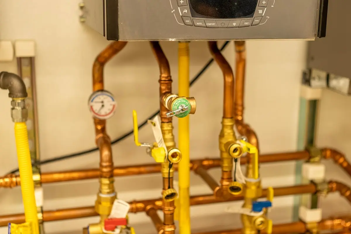 Licensed technician providing Sump Pump Repair for a homeowner in Lynden